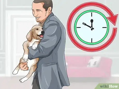 Image intitulée Care for a Puppy when You Work Full Time Step 5