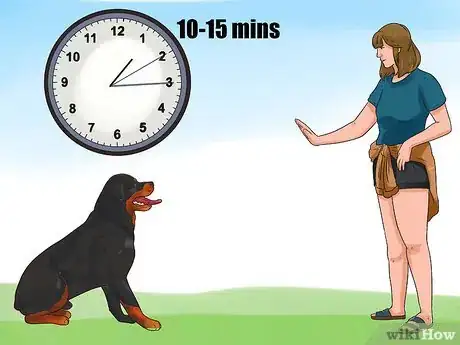 Image intitulée Be a Good Dog Owner Step 17