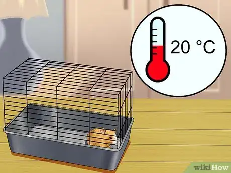 Image intitulée Cure Your Not Moving Hamster Step 9