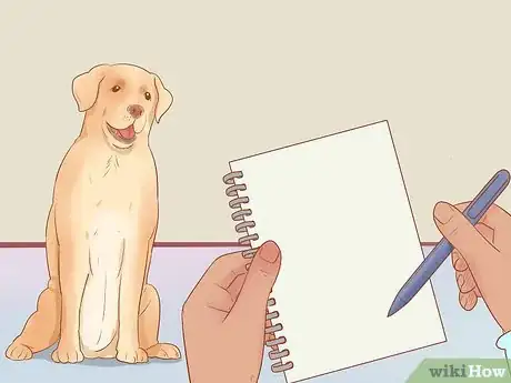 Image intitulée Choose a Dog Step 16