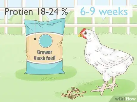 Image intitulée Start a Chicken Farm Step 22