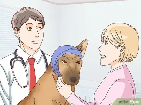 Image intitulée Care for a Dog's Torn Ear Step 5