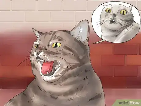 Image intitulée Get Your Cat to Stop Hissing Step 1