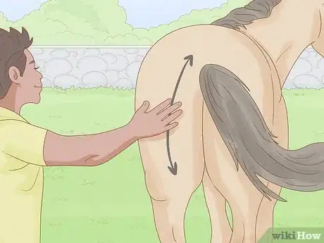 Image intitulée Give a Horse an Injection Step 14