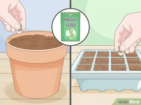 Image intitulée Grow an Herb Garden Indoors Year Round Step 10