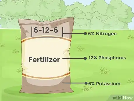 Image intitulée Grow Plants Faster Step 5