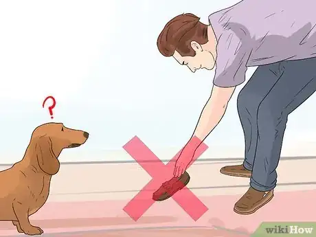 Image intitulée Stop Your Dog from Chewing Things it Shouldn't Step 10