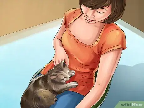 Image intitulée Turn Your Cat Into a Lap Cat Step 4