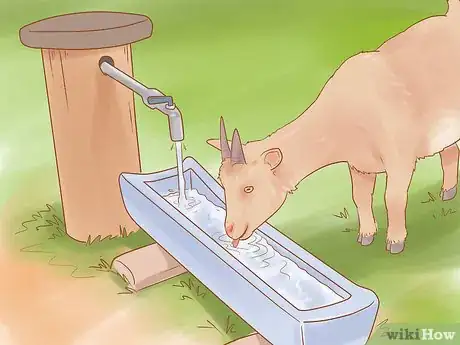 Image intitulée Care for Pygmy Goats Step 10