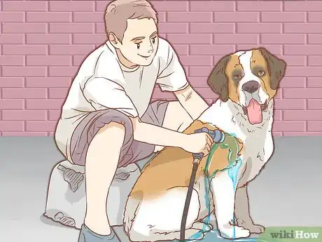 Image intitulée Treat Heat Stroke in Dogs Step 7