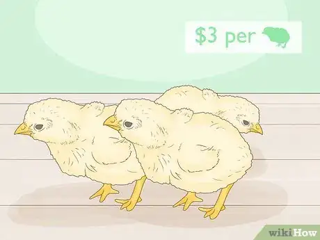 Image intitulée Start a Chicken Farm Step 16