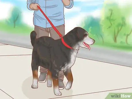 Image intitulée Take Care of Your Dog's Basic Needs Step 11