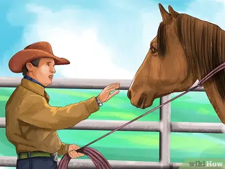 Image intitulée Bond With Your Horse Using Natural Horsemanship Step 12