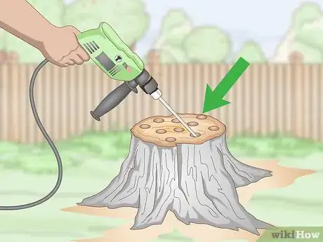 Image intitulée Burn Tree Stumps Step 3