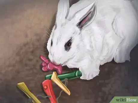 Image intitulée Make Your Rabbit Like You Step 7