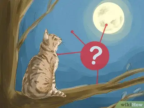 Image intitulée Interpret a Dream Involving Cats Step 2