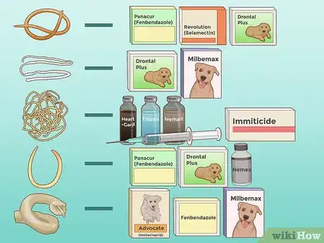 Image intitulée Prevent Worms in Dogs Step 13