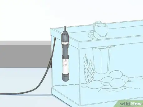 Image intitulée Care for a Red Eared Slider Turtle Step 11