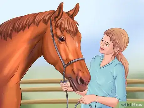 Image intitulée Get Your Horse to Trust and Respect You Step 15