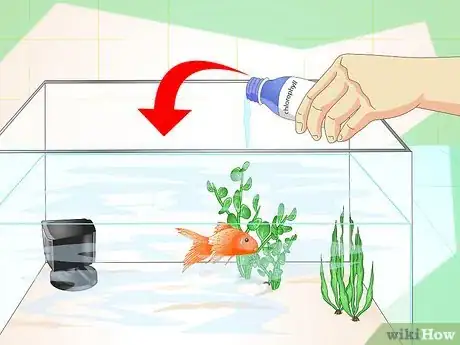 Image intitulée Revive a Goldfish Step 14