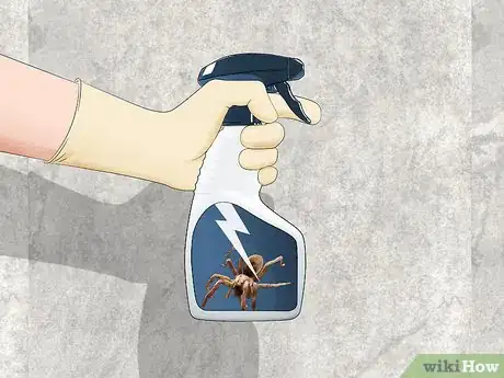 Image intitulée Get Rid of Spider Webs Step 13