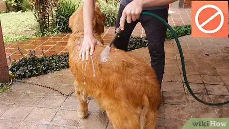 Image intitulée Wash a Dog Step 1