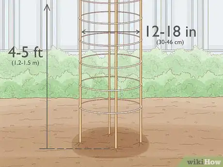 Image intitulée Grow Cucumbers Step 13