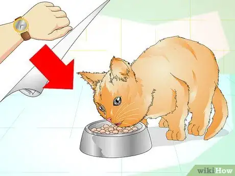 Image intitulée Determine if Your Cat is Overweight Step 9