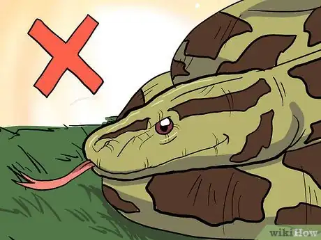 Image intitulée Choose Your First Pet Snake Step 5