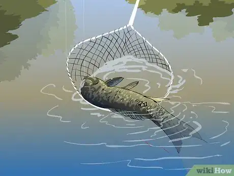 Image intitulée Catch a Carp Step 11