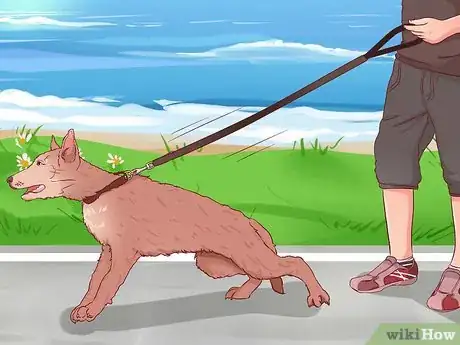 Image intitulée Stop a Dog from Pulling on Its Leash Step 3