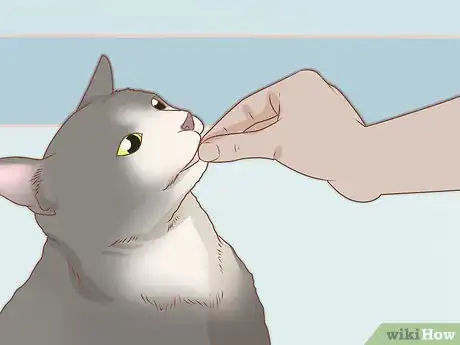 Image intitulée Trim Your Cat's Nails Step 11