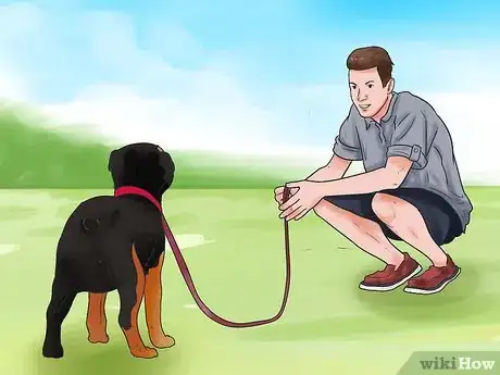 Image intitulée Train a Rottweiler Step 17