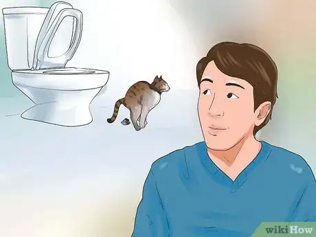 Image intitulée Toilet Train Your Cat Step 11