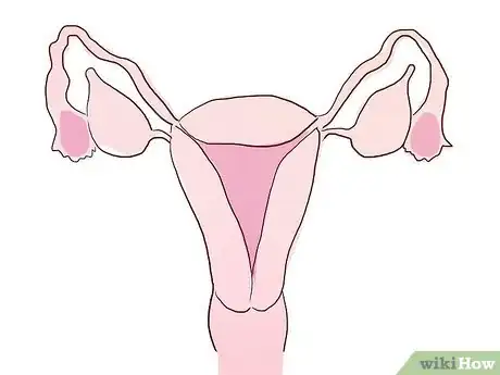 Image intitulée Become a Surrogate Mother Step 5