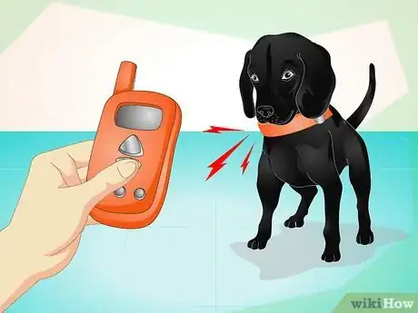 Image intitulée Use an Electronic Dog Training Collar Step 5