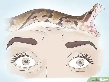 Image intitulée Get over Your Fear of Snakes Step 1