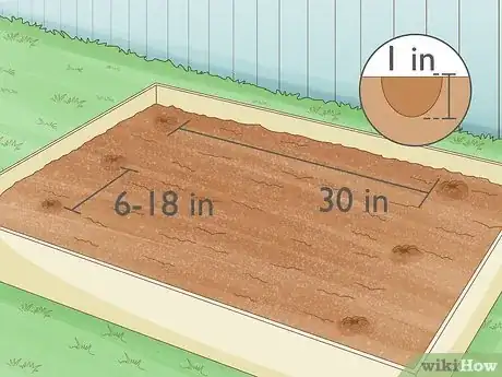 Image intitulée Grow Sunflowers Step 7