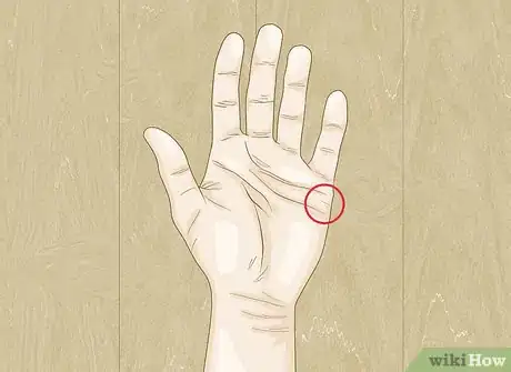 Image intitulée Do a Modern Palm Reading Step 3Bullet1