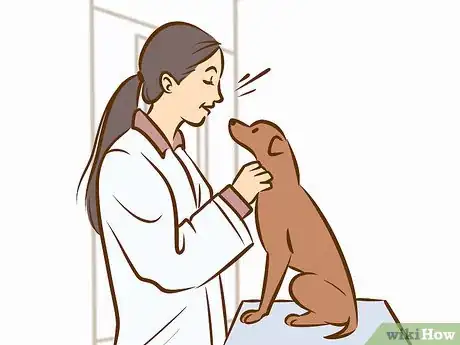 Image intitulée Persuade Your Parents to Get a Dog Step 18