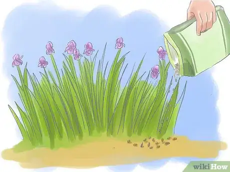 Image intitulée Take Care of Irises when Their Flowers Die Step 11