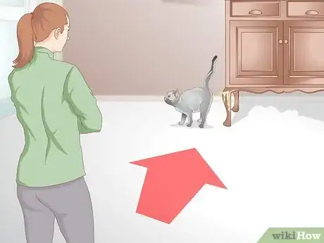 Image intitulée Get Rid of Cat Spray Odor Step 11