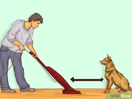 Image intitulée Teach Your Pet Not to be Scared of the Vacuum Cleaner Step 9