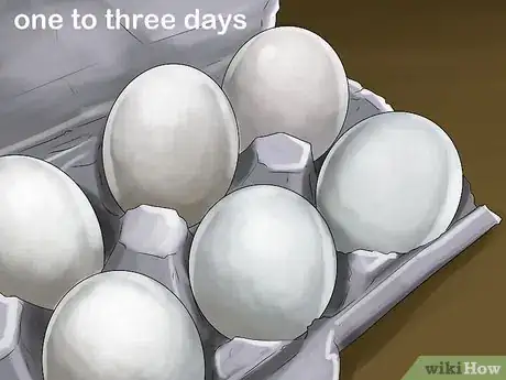 Image intitulée Hatch a Mallard Duck Egg Step 5