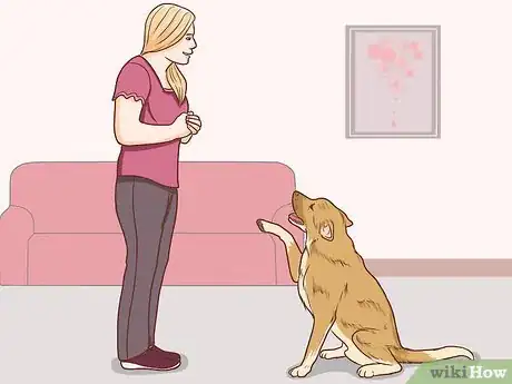 Image intitulée Communicate With Your Dog Step 1