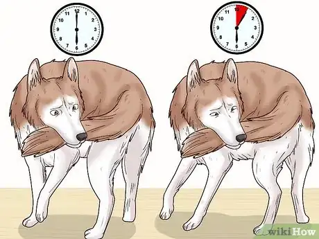 Image intitulée Stop a Dog from Biting Its Tail Step 1