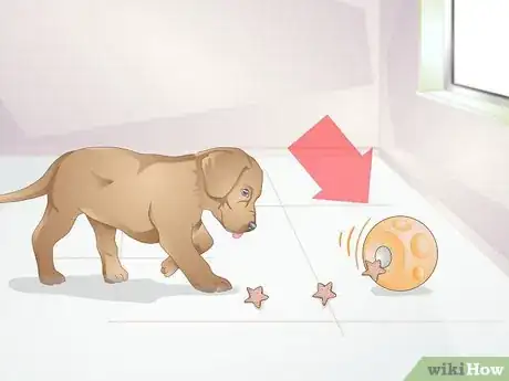 Image intitulée Calm a Puppy Step 12