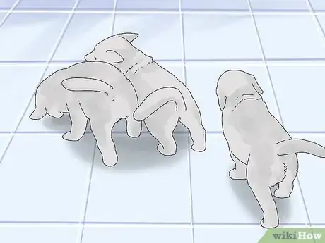 Image intitulée Take Care of Puppies Step 29