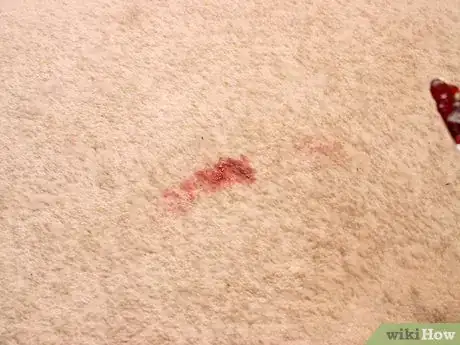 Image intitulée Remove Jam or Jelly Stains from Carpet Step 2