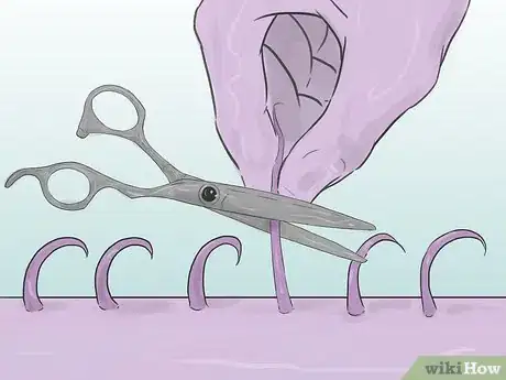 Image intitulée Shave Your Pubic Hair Step 1